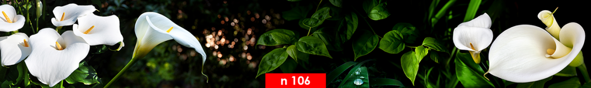 n 106